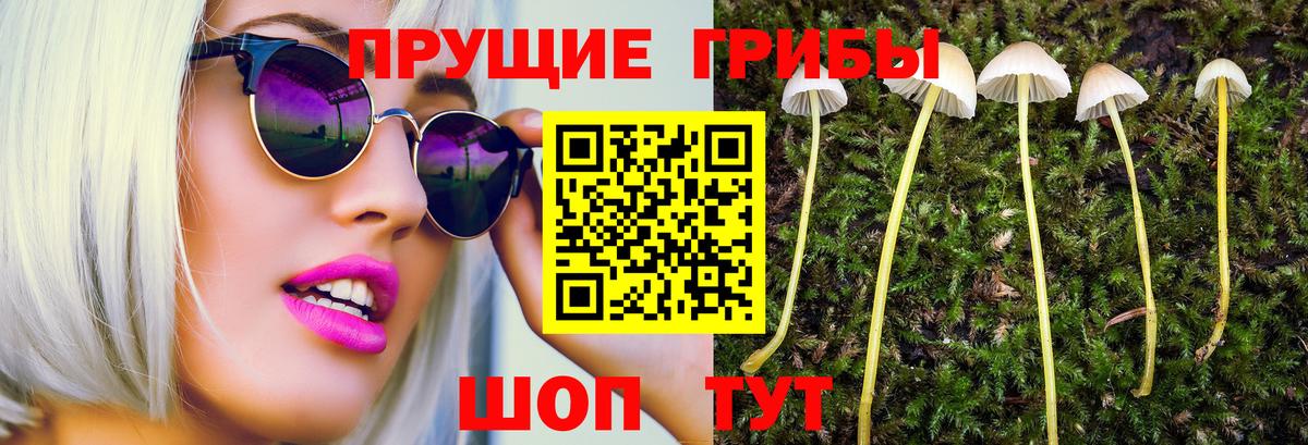 Кушва  Псилоцибиновые грибы ЛСД  Вход с VPN 